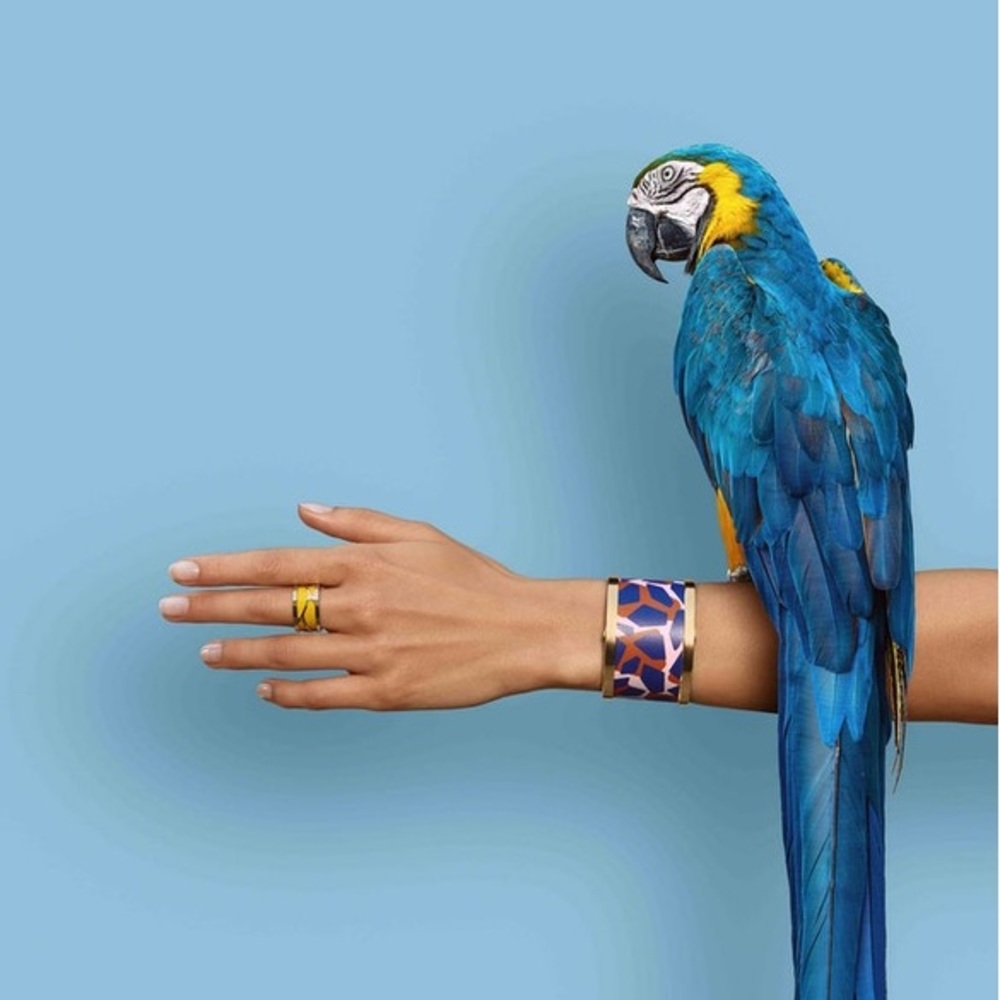 Gorgeous Bracelet that I bought in Paris